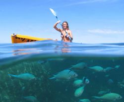Kayaking on Ningaloo Reef. by Penny Murphy 